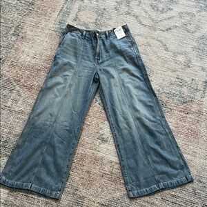 Madewell Wide Sweep Trouser Blue Jeans NWT SZ 29